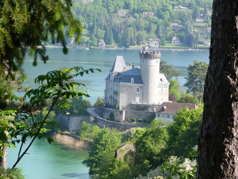 Charmant Et Spacieux Appartement A Quelques Pas Du Lac Duingt Esterno foto